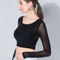 Women's Long Sleeve New Transparent Black Veil Inner Lace Half Gauze Clothes Skirt Top