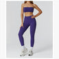 Women’s Seamless Sports Set – Bra, Shorts, Pants