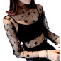 Women’s Lace Mesh  - Turtle Neck Sexy See Through Tee Shirts Party Club Night Lace Blouse
