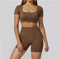 Women’s Seamless Sports Set – Bra, Shorts, Pants